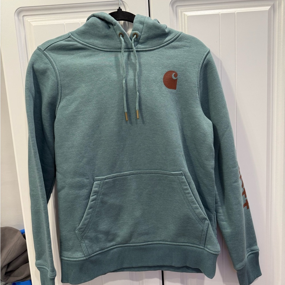 Carhartt Men's Teal Hoodie
